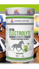 EXTRA ELECTROLYTE 1 KG