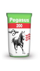 Pegasus 200 At Yemi