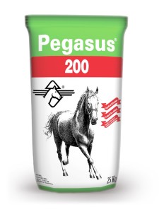 Pegasus 200 At Yemi