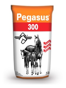 Pegasus 300 At Yemi